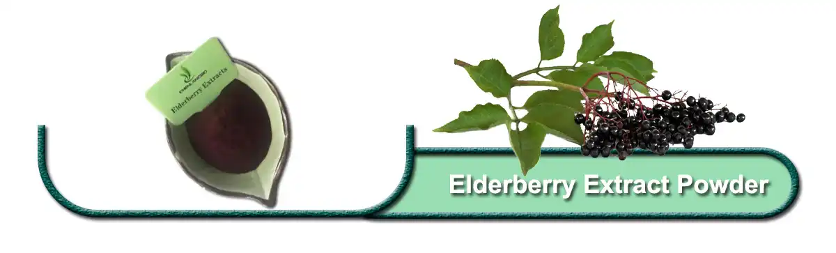 Elderberry Extract.jpg